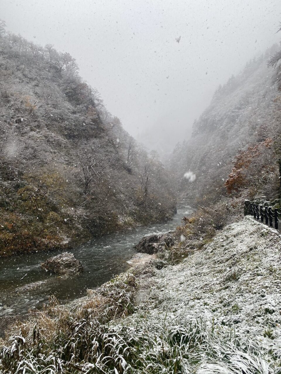 【お知らせ】11/18（火）、11/19（水）お越しのお客様へ